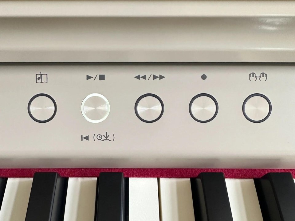 ROLAND RP-701 LO (USED) - Ảnh thực tế 8